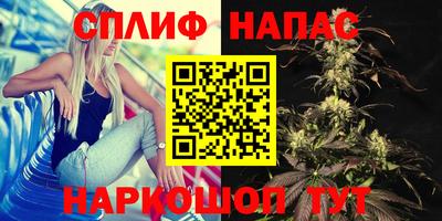 ПСИЛОЦИБИНОВЫЕ ГРИБЫ Заволжье