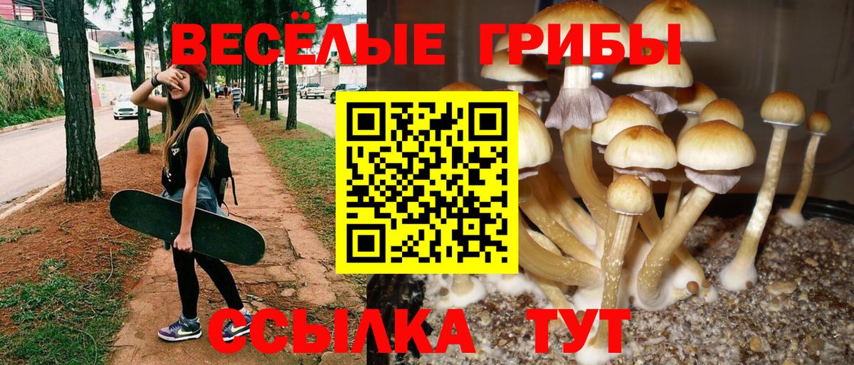Псилоцибиновые грибы мухоморы  Вход с VPN  Луховицы 