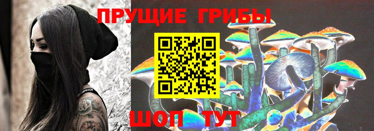 Галлюциногенные грибы мицелий Луховицы